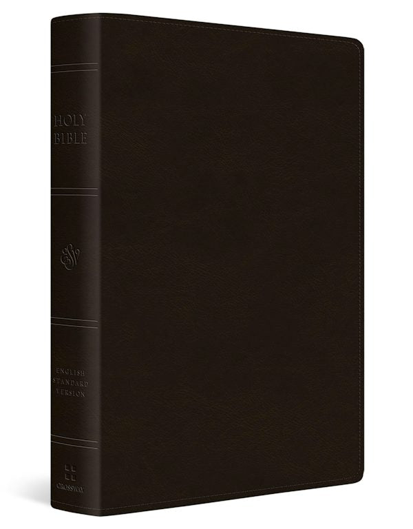 Cover image for ESV Large Print Value Personal Size Bible (Trutone, Deep Brown), isbn: 9798874908973