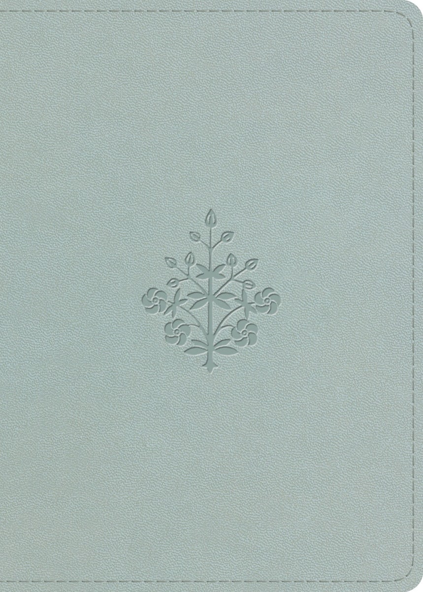 Cover image for ESV Large Print Value Personal Size Bible (Trutone, River Stone, Branch Design), isbn: 9798874908980