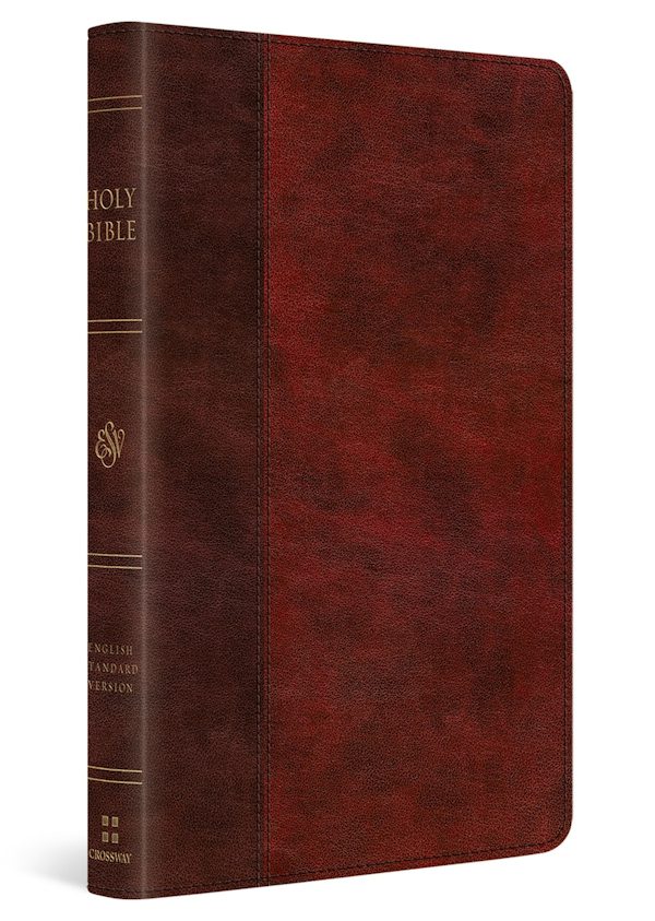 Cover image for ESV Large Print Thinline Bible, Red Letter (Trutone, Burgundy/Red, Timeless Design), isbn: 9798874908997