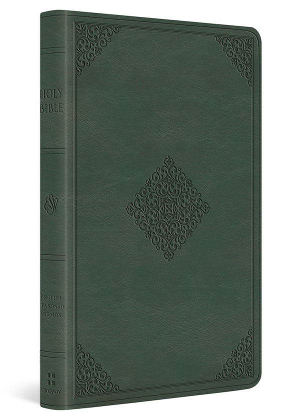 Cover image for ESV Large Print Value Thinline Bible (Trutone, Quiet Forest, Ornament Design), isbn: 9798874909024