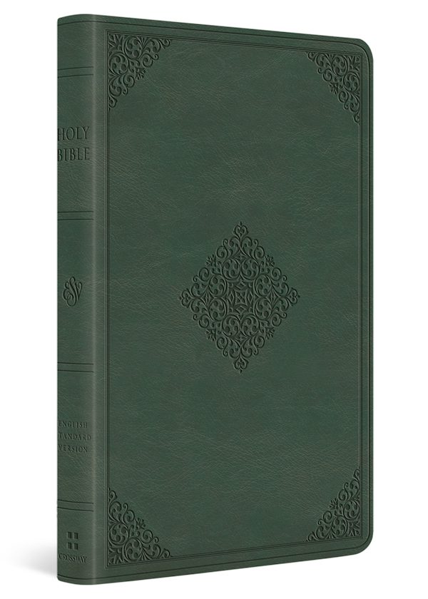Cover image for ESV Large Print Value Thinline Bible (Trutone, Quiet Forest, Ornament Design), isbn: 9798874909024