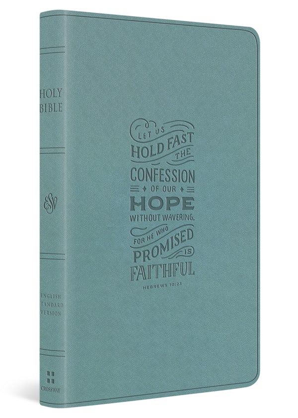 Cover image for ESV Large Print Value Thinline Bible (Trutone, Paris Sky, Hebrews 10:23 Design), isbn: 9798874909031