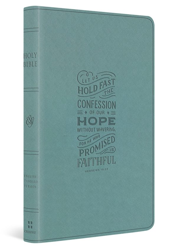 Cover image for ESV Large Print Value Thinline Bible (Trutone, Paris Sky, Hebrews 10:23 Design), isbn: 9798874909031