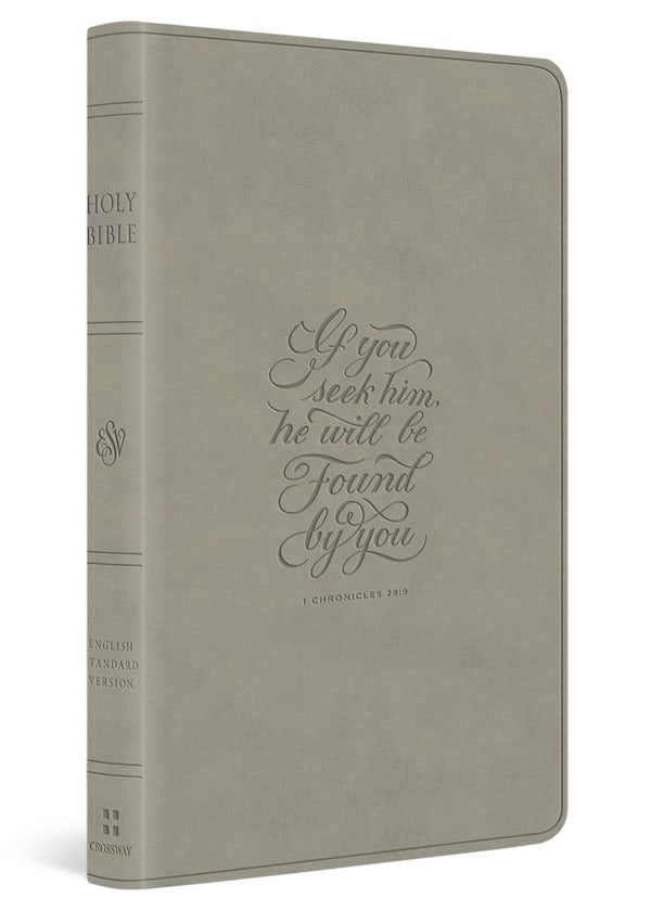 Cover image for ESV Large Print Value Thinline Bible (Trutone, Stone, 1 Chronicles 28:9 Design), isbn: 9798874909048