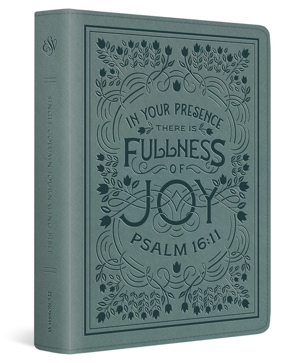 Cover image for ESV Single Column Journaling Bible (Trutone, Paris Sky, Psalm 16:11 Design), isbn: 9798874911393