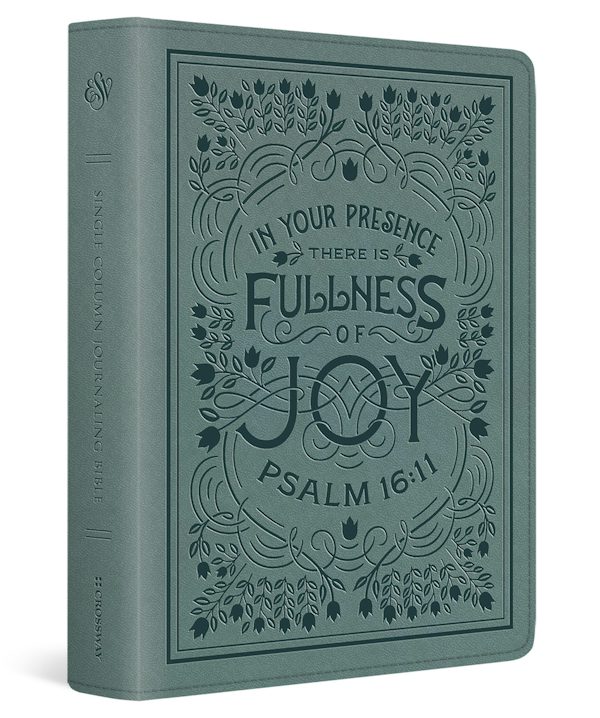 Cover image for ESV Single Column Journaling Bible (Trutone, Paris Sky, Psalm 16:11 Design), isbn: 9798874911393