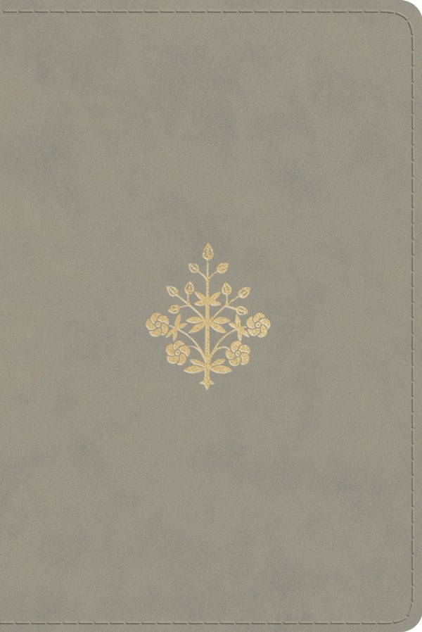 Cover image for ESV Personal Size Reference Bible, Red Letter (Trutone, Stone, Branch Design), isbn: 9798874912741