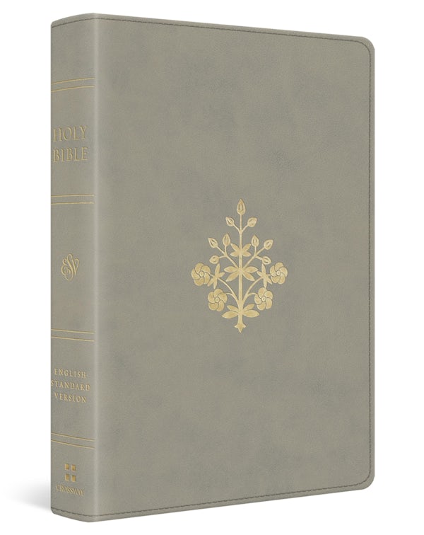 Cover image for ESV Personal Size Reference Bible, Red Letter (Trutone, Stone, Branch Design), isbn: 9798874912741