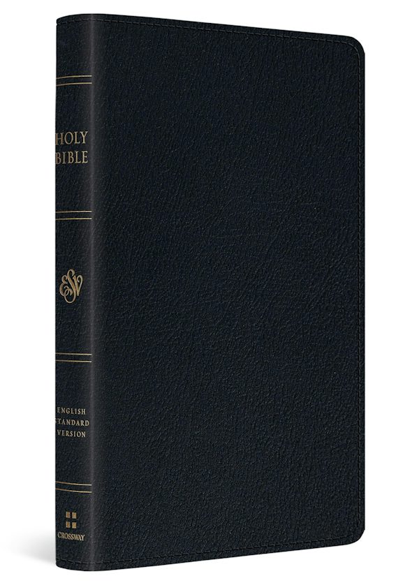 Cover image for ESV Large Print Thinline Reference Bible, Red Letter (Genuine Leather, Black), isbn: 9798874912840