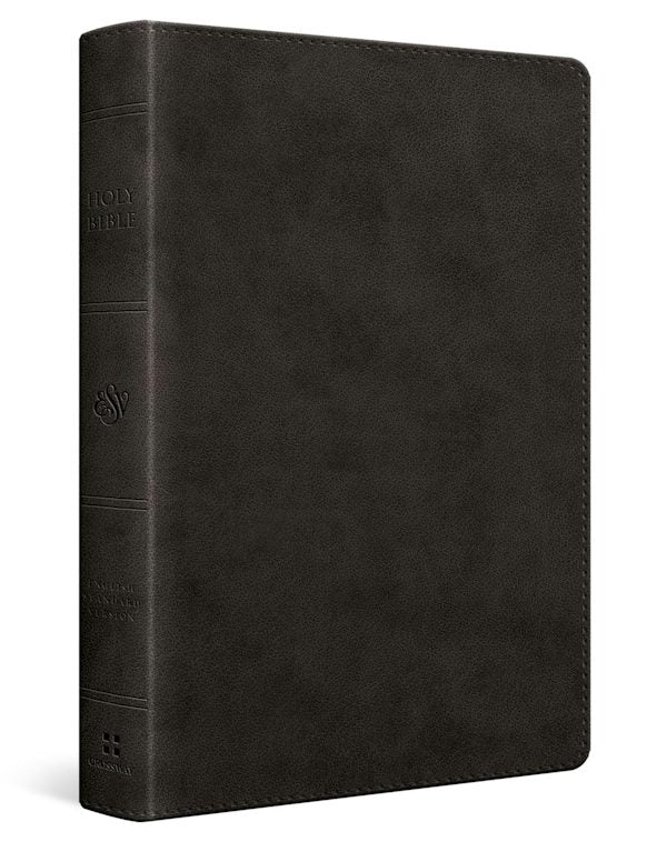 Cover image for ESV Wide Margin Reference Bible, Red Letter (Trutone, Black), isbn: 9798874913106