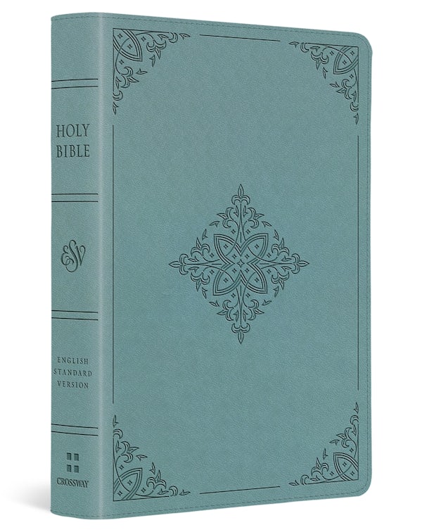 Cover image for ESV Large Print Compact Bible (Trutone, Paris Sky, Fleur-De-Lis Design), isbn: 9798874914608
