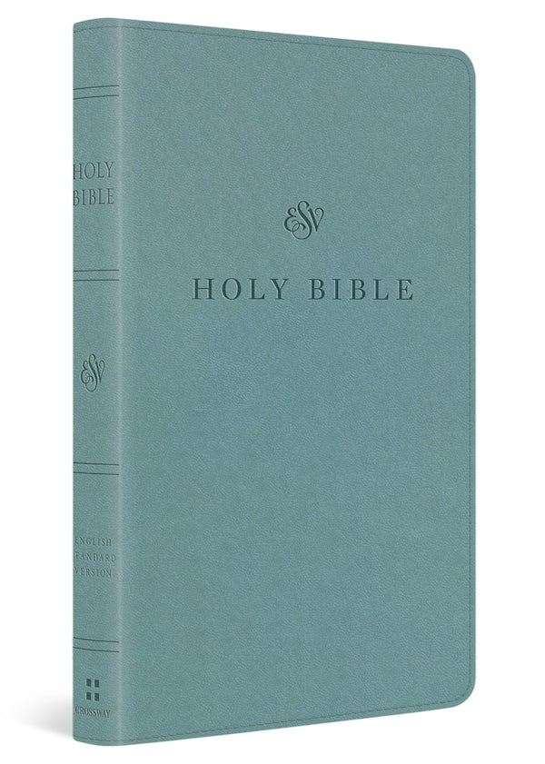 Cover image for ESV Premium Church Bible (Trutone, Paris Sky), isbn: 9798874914639