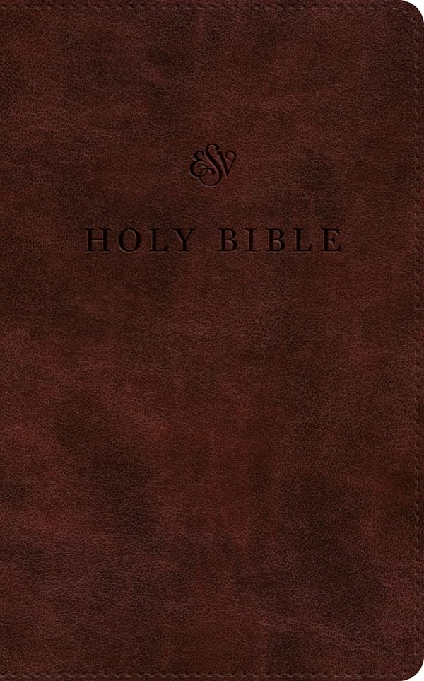 Cover image for ESV Premium Church Bible, Large Print (Trutone, Mahogany), isbn: 9798874915872