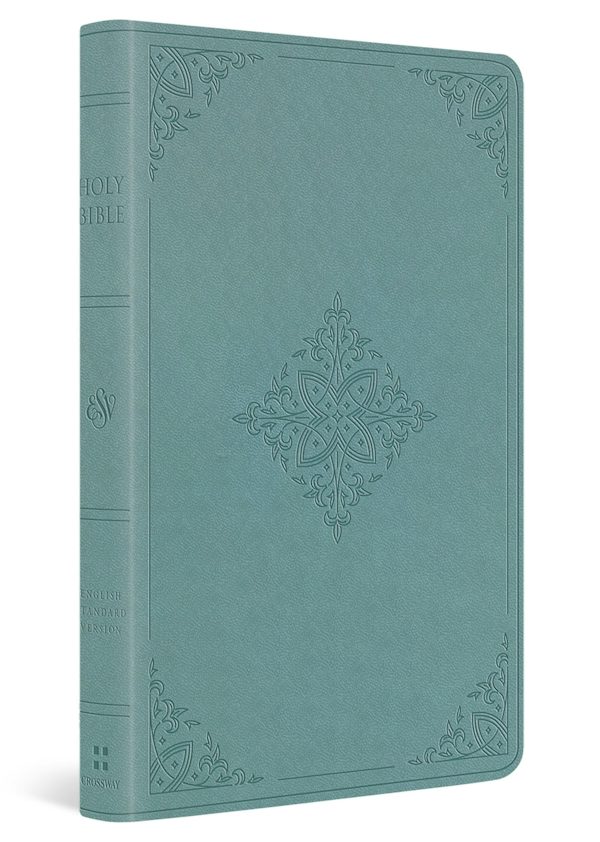 Cover image for ESV Premium Gift Bible, Red Letter (Trutone, Paris Sky, Fleur-De-Lis Design), isbn: 9798874916114