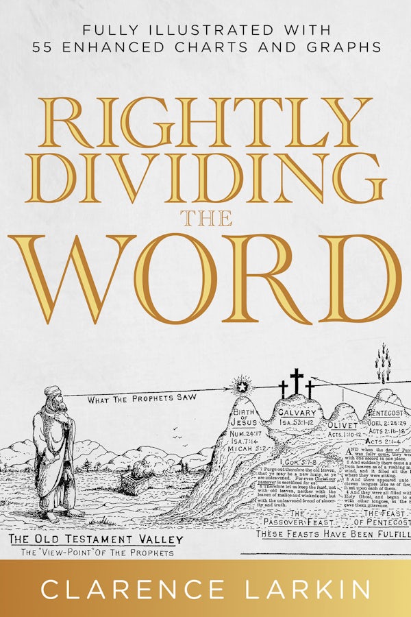 Cover image for Rightly Dividing the Word, isbn: 9798887693781