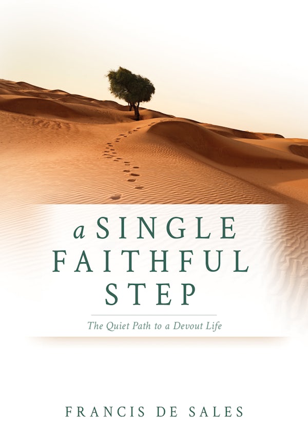 Cover image for A Single Faithful Step, isbn: 9798887697161