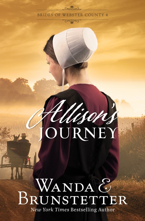 Cover image for Allison's Journey, isbn: 9798891510999