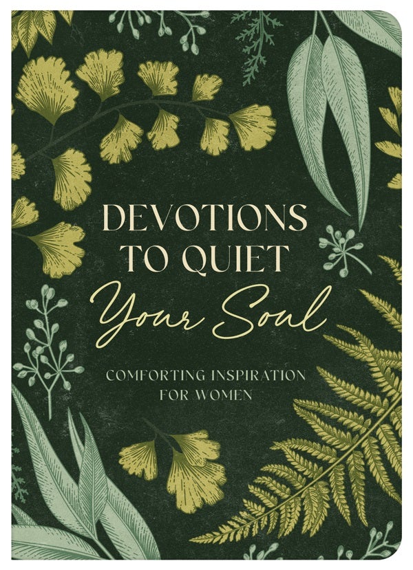 Cover image for Devotions to Quiet Your Soul, isbn: 9798891511934