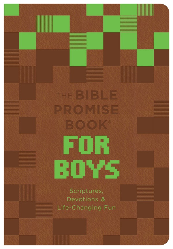 Cover image for The Bible Promise Book for Boys, isbn: 9798891514713