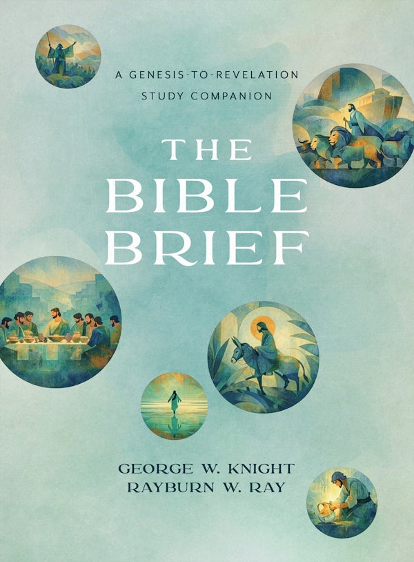 Cover image for The Bible Brief, isbn: 9798891515062