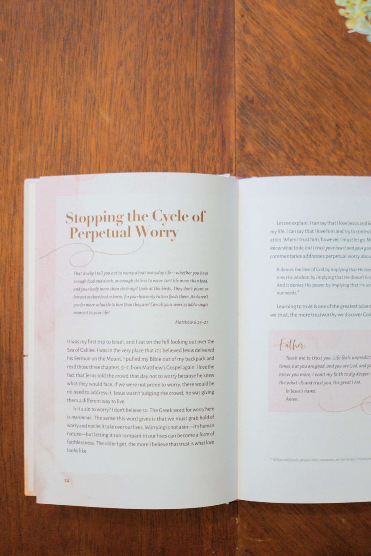 An interior image of "Pray Anyway." The chapter title is "Stopping the Cycle of Perpetual Worry."