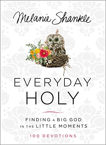 Cover image for Everyday Holy, isbn: R978031034668