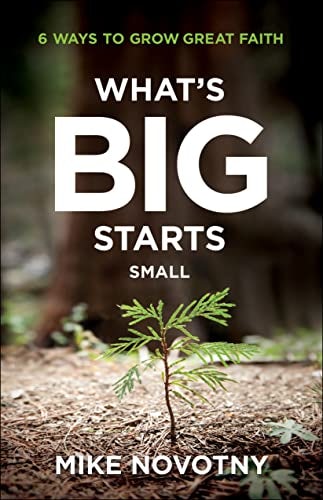 Cover image for What's Big Starts Small, isbn: R978076424003