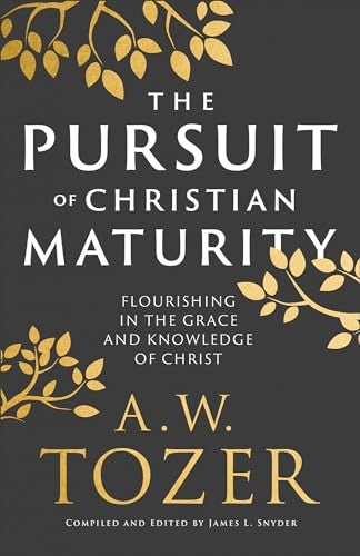 Cover image for Pursuit Of Christian Maturity, isbn: R978076424030