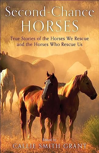 Cover image for Second Chance Horses, isbn: R978080073794