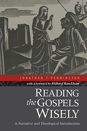 Cover image for Reading The Gospels Wisely, isbn: R978080103937