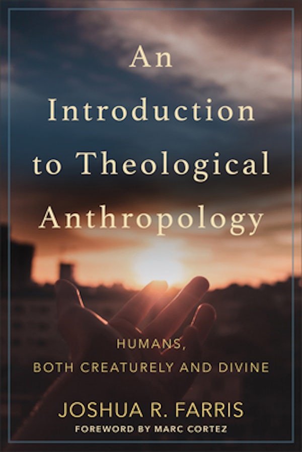 Cover image for Introduction To Theological Anthropology, isbn: R978080109688