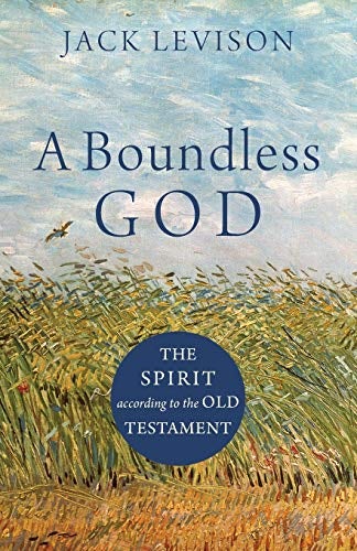 Cover image for Boundless God, isbn: R978154096118