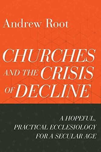 Cover image for Churches And The Crisis Of Decline, isbn: R978154096481