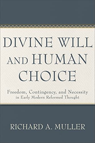 Cover image for Divine Will And Human Choice, isbn: R978154096598