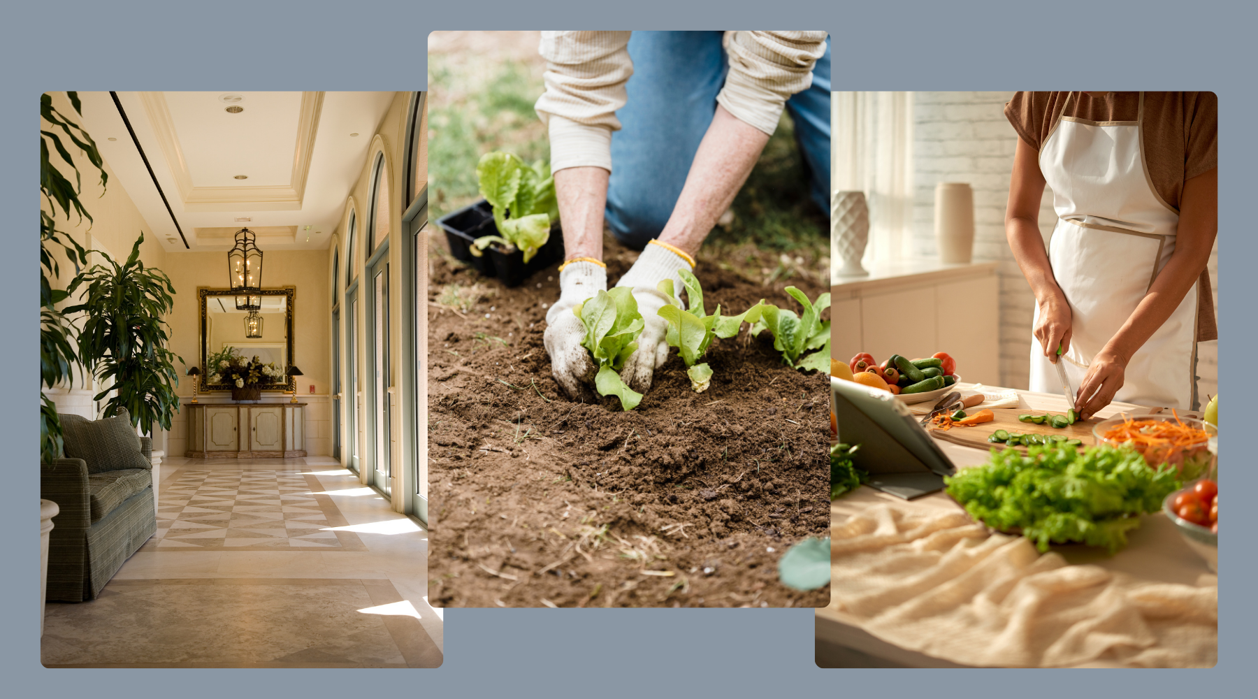 Create a Home You Love: Inspiration for Decluttering, Decorating, Gardening, & Cooking