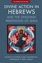 Cover image for Divine Action in Hebrews, isbn: 9780310139102
