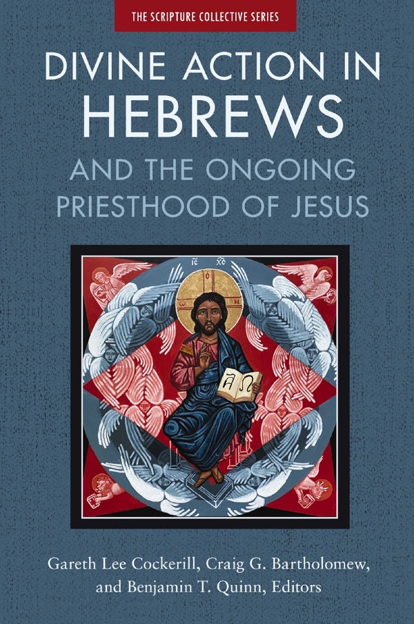 Cover image for Divine Action in Hebrews, isbn: 9780310139102