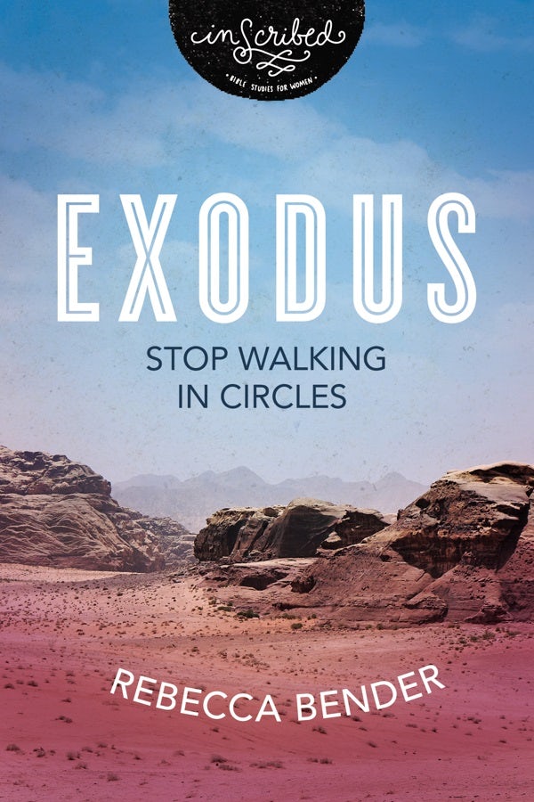Cover image for Exodus, isbn: 9780310141068