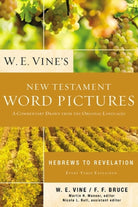 Cover image for W. E. Vine's New Testament Word Pictures: Hebrews to Revelation, isbn: 9780310154082