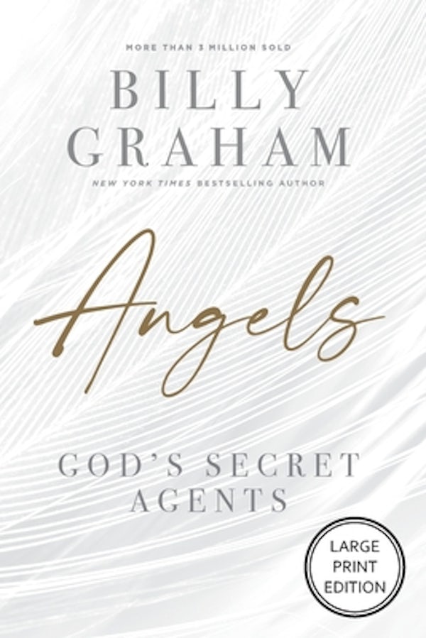 Cover image for The Angels, isbn: 9780310179177