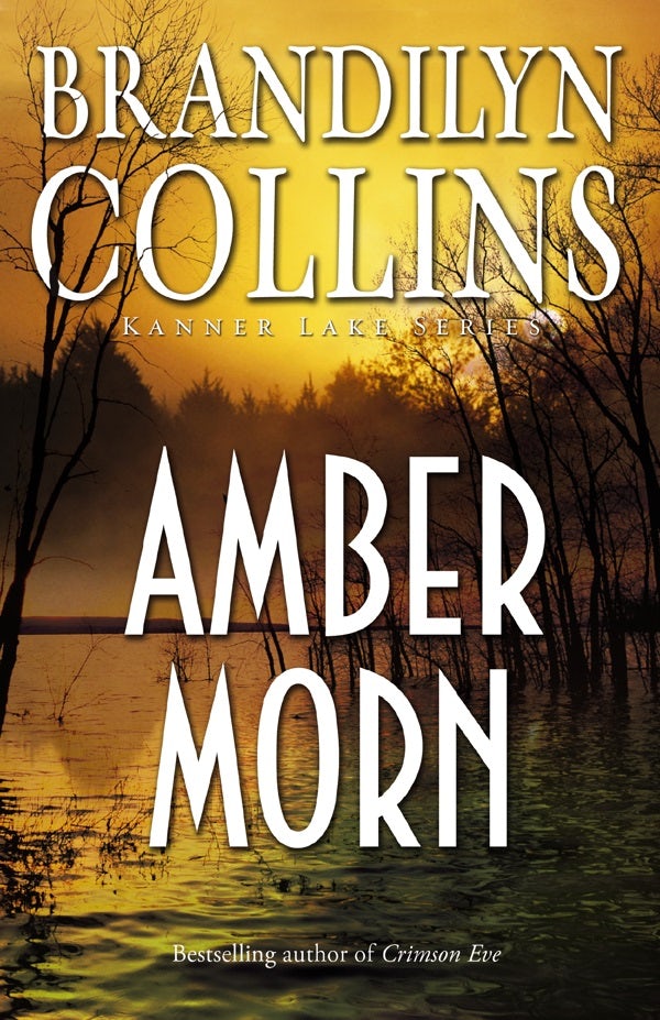 Cover image for Amber Morn, isbn: 9780310276418