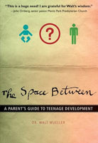 Cover image for The Space Between, isbn: 9780310287711