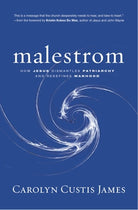 Cover image for Malestrom, isbn: 9780310325574
