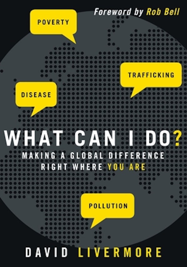 Cover image for What Can I Do?, isbn: 9780310325963