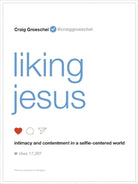 Cover image for Liking Jesus, isbn: 9780310343066
