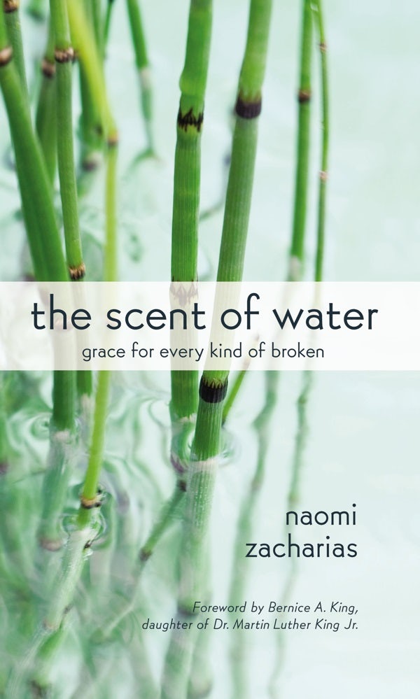 Cover image for The Scent of Water, isbn: 9780310350088