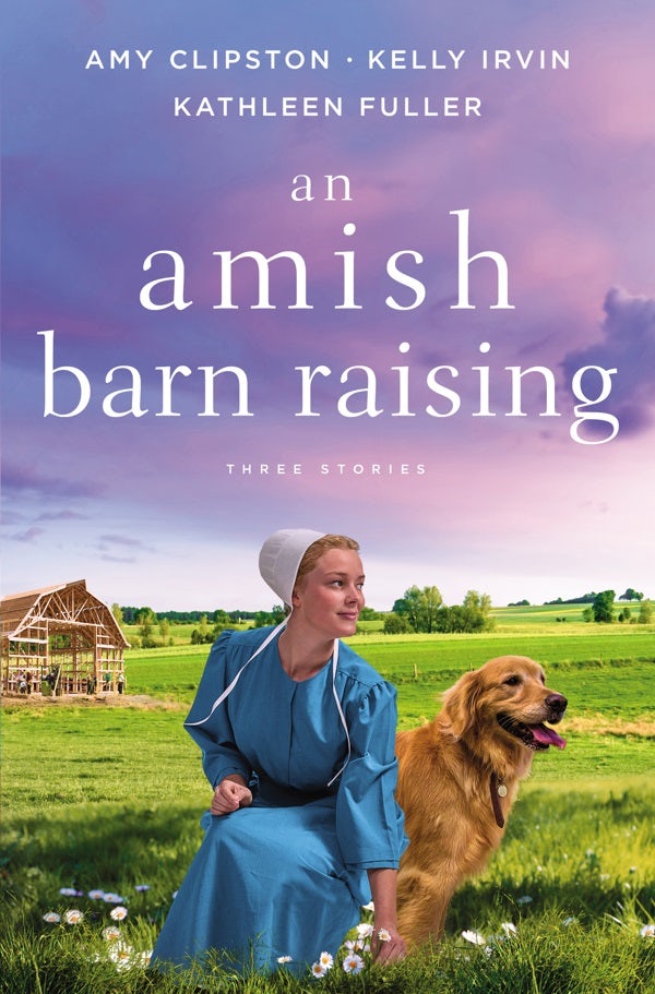 Cover image for An Amish Barn Raising, isbn: 9780310362401