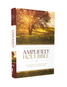 Cover image for Amplified Bible-Am, isbn: 9780310443872