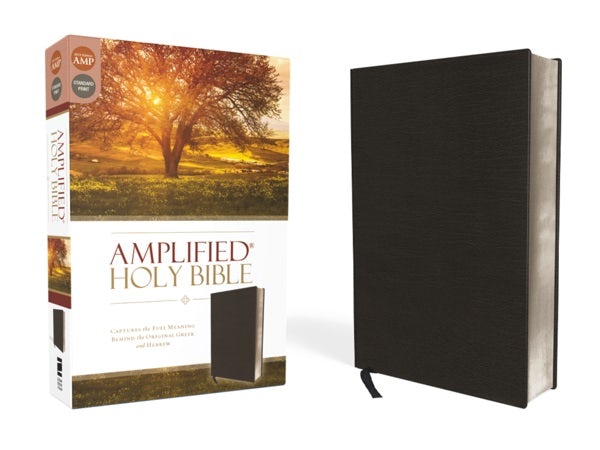 Cover image for Amplified Bible-Am, isbn: 9780310443926