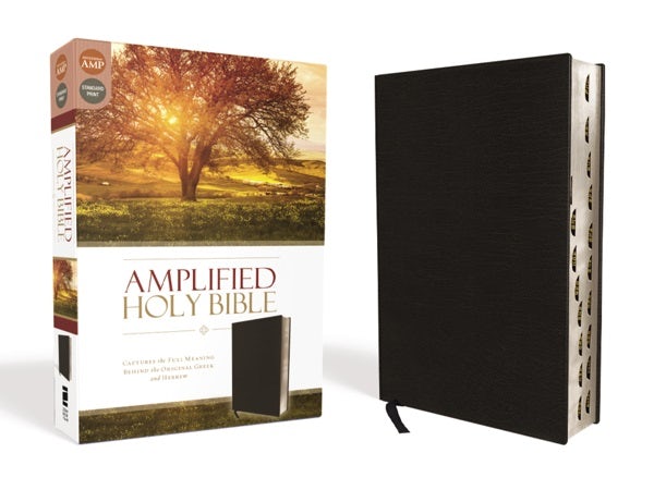 Cover image for Amplified-Am, isbn: 9780310443933